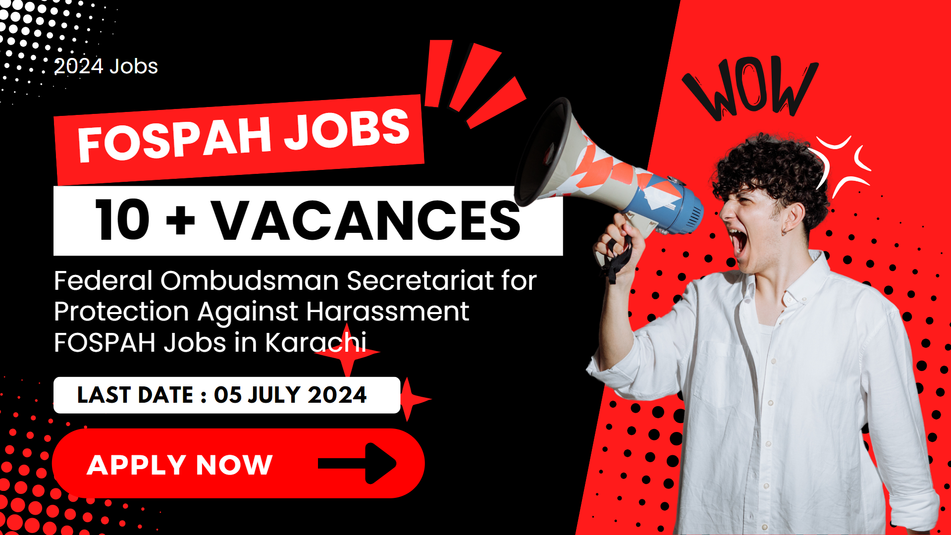 Federal Ombudsman Secretariat for Protection Against Harassment FOSPAH Jobs in Karachi