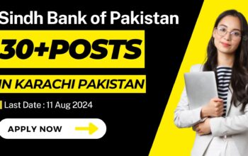 Latest jobs in Sindh Bank August 2024 - Apply Online